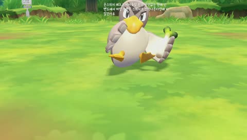 [박병진용사] 포켓몬스터 레츠고 부수자 보라시티