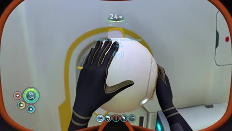 thief