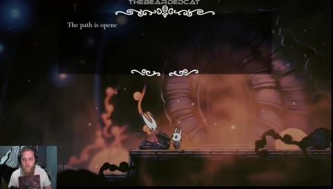 Katamari - Minecraft - Hollow Knight