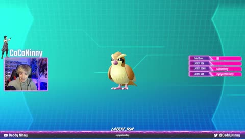 Shiny Hunting