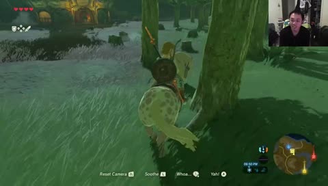 Zelda