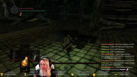 Enemy Randomizer, take 11 - Let's find out what Bed of Chaos is.