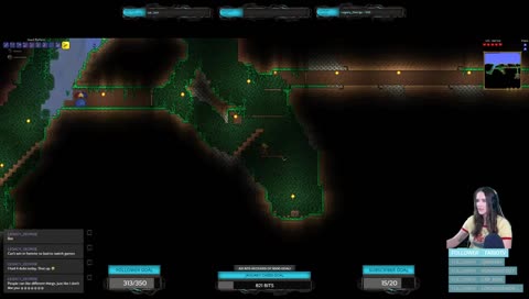 Let's play some Terraria!
