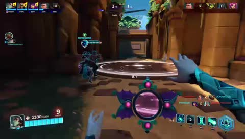 Paladins uwu