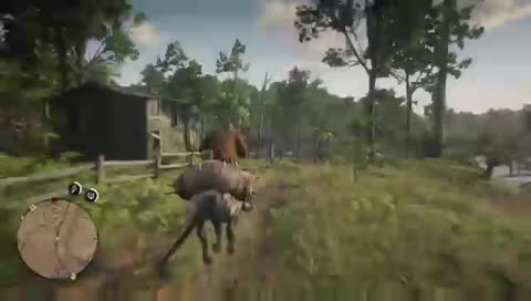 rdr2 come wacth me die