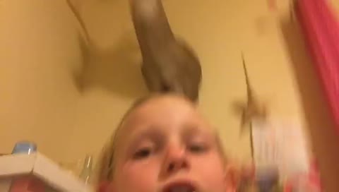 h0ly_li0n’s mobile stream