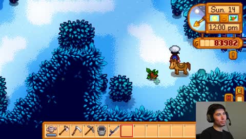 Stardew valley