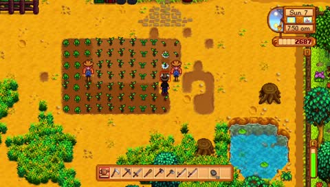 star dew