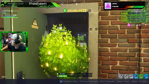 bush