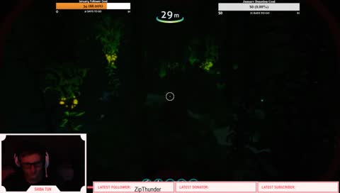 Underwater Subnautica Shiba