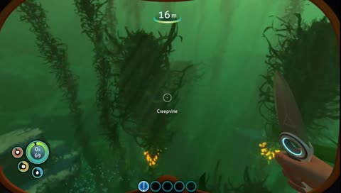We out here Diving
