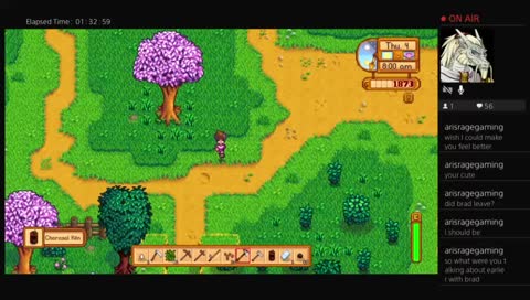 Playing stardew valley