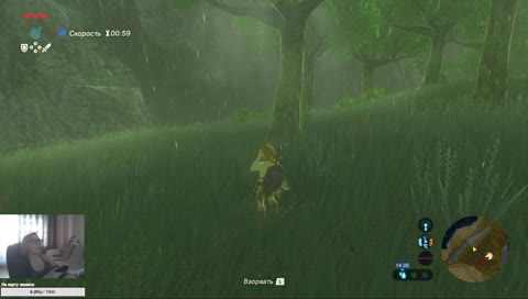 Zelda!