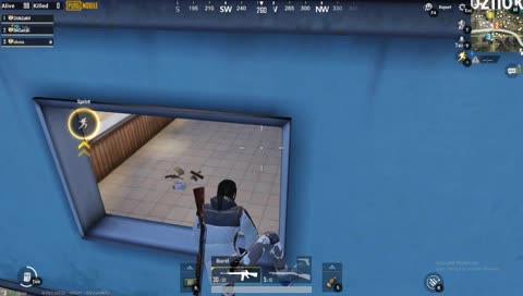 pubg mobile live streaming