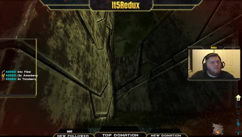 ARK - New beginnings