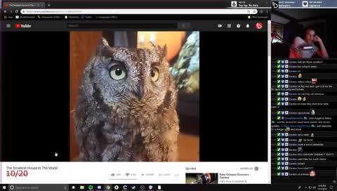 chillin 🌍 | !discord !yt