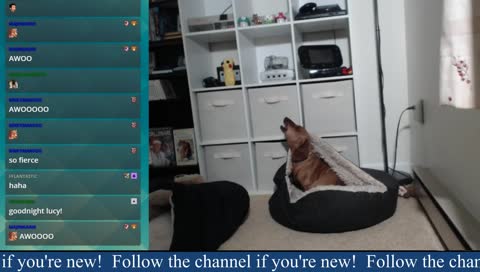 Might and Magic VII Day 6