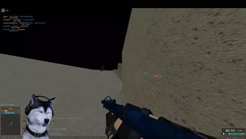 A doggo plays Phantom Forces with you!