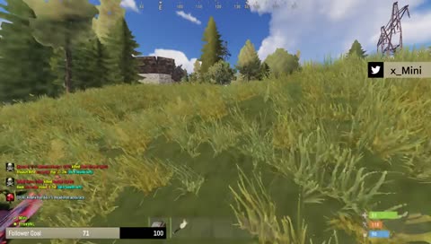 Rust - Memeing in Rust !Hype