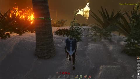 PVP/EU - El paraíso prometido!!!!!