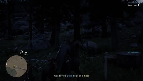 [PS4] RDR2 Online... Yee Ha Pardners!