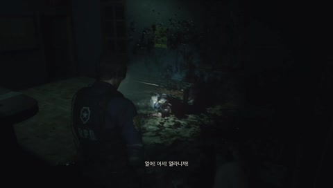 바이오하자드 RE: 2 [PS4 PRO]