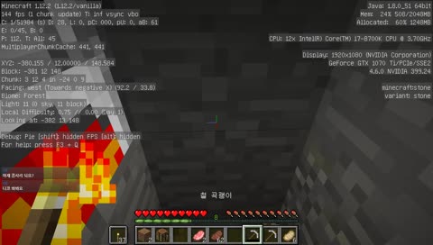 친구들과 마크야생