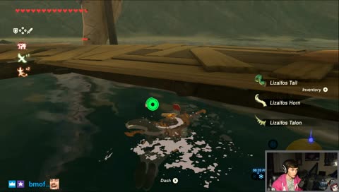Legend of Korok: Breath of the Korok