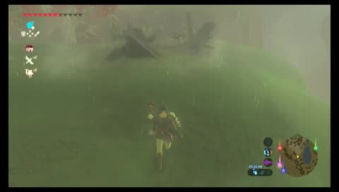 Not My Zelda