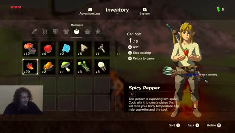 Breast of The Wild