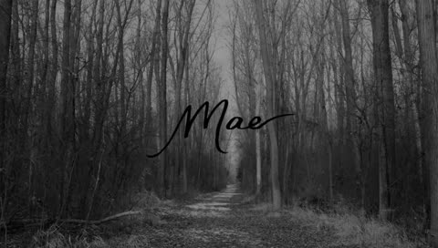 Tunes and such ♫♪

!petals