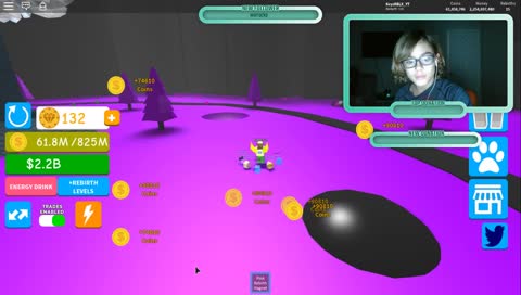 Magnet Simulator Farming Rebirths and Pets!