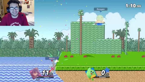 The Ultimate Smash Bros