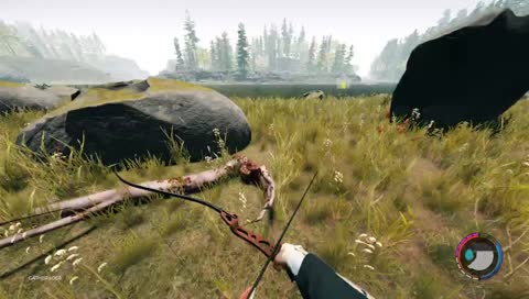 The Forest (HARD SURVIVAL)