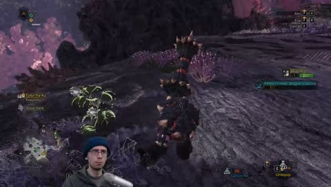 [Lance] Solo - PC Monster Hunter World