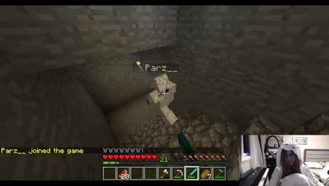 epic minecraft gamer