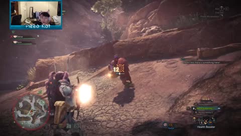 Monster hunter today also stealth doe