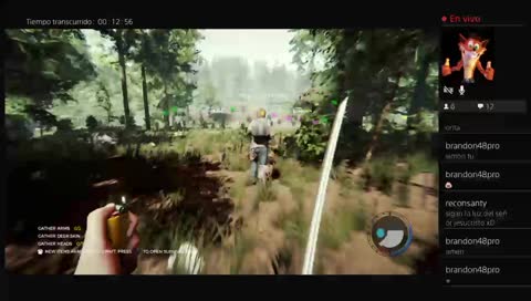 Transmisiรณn de PS4 en vivo de ElithsBee1987