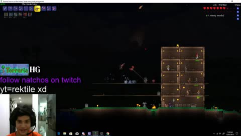 terraria