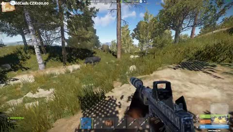 MARUST RUSTY SOLO/DUO 2X LOW POP