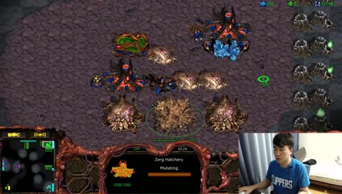 공방에서 저그의 마인드