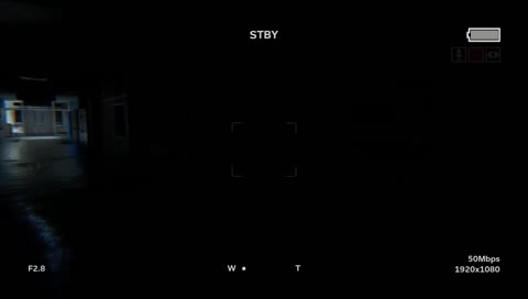 Chill late Night OUTLAST 2 Stream