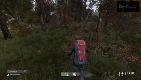 IvyLive@DayZ
