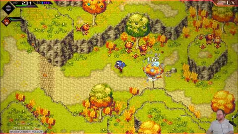 A cool ARPG/puzzler called CrossCode