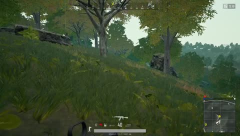 「V３FOX」成人の日