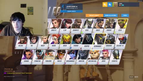 Overwatch For a Few Hours!