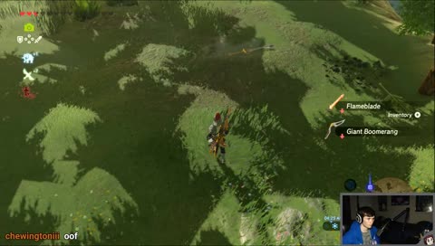 Legend of Korok: Korok of the Korok
