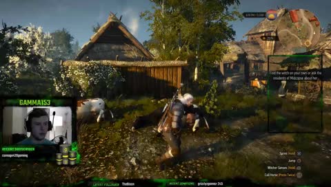 First PC Playthrough: Best Ending, Triss Romance, and many other fun choices!