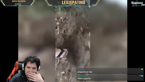 Alexis reacts al chimuelo