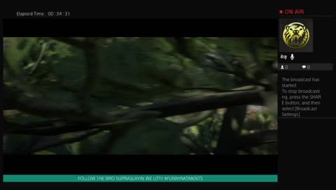 TRAIN BANDITS !!! RDR2!